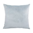 thumbnail image 1 of Tkrady Velvet Pillow Covers Super Soft Decorative Square Throw Pillow Covers Case Cushion Covers for Sofa Couch Bedroom Car Decor 20x20 Inch Light Grey, 1 of 6
