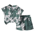 thumbnail image 1 of Tkrady Toddler Boys Clothes Spring Summer New Lapel Breathable Cool Print Casual Short Sleeve T Shirt Tops Shorts 2 Piece Set, Sizes 1-6 Years, 1 of 5