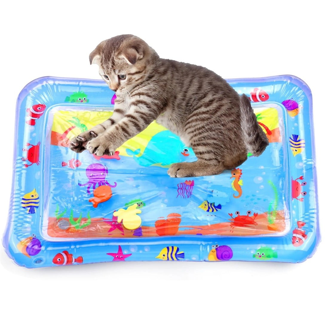 Cat Water Mat With Fish Water Sensory Play Mat For Cats, Cat Water