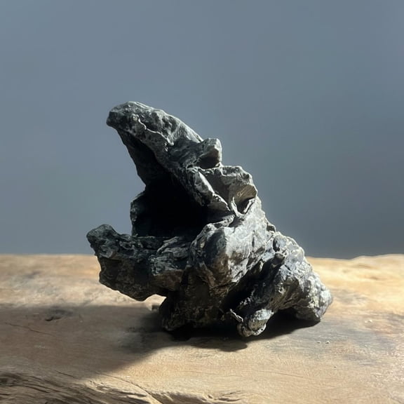 Tnarru Ceramic stone for turtle basking. Prehistoric Croc