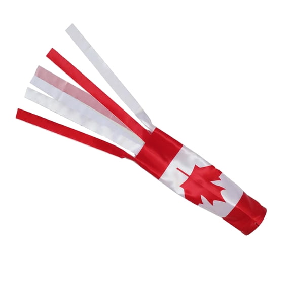Tnarru Polyester Fabric Windsock Includes Hanging Ropes Patriotic Wind Sock , Multicolor, 14cm Canada