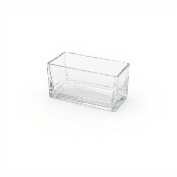 Tnarru Rectangular Glass Fish Tank, Thick Desktop Enclosure 20*10*10cm
