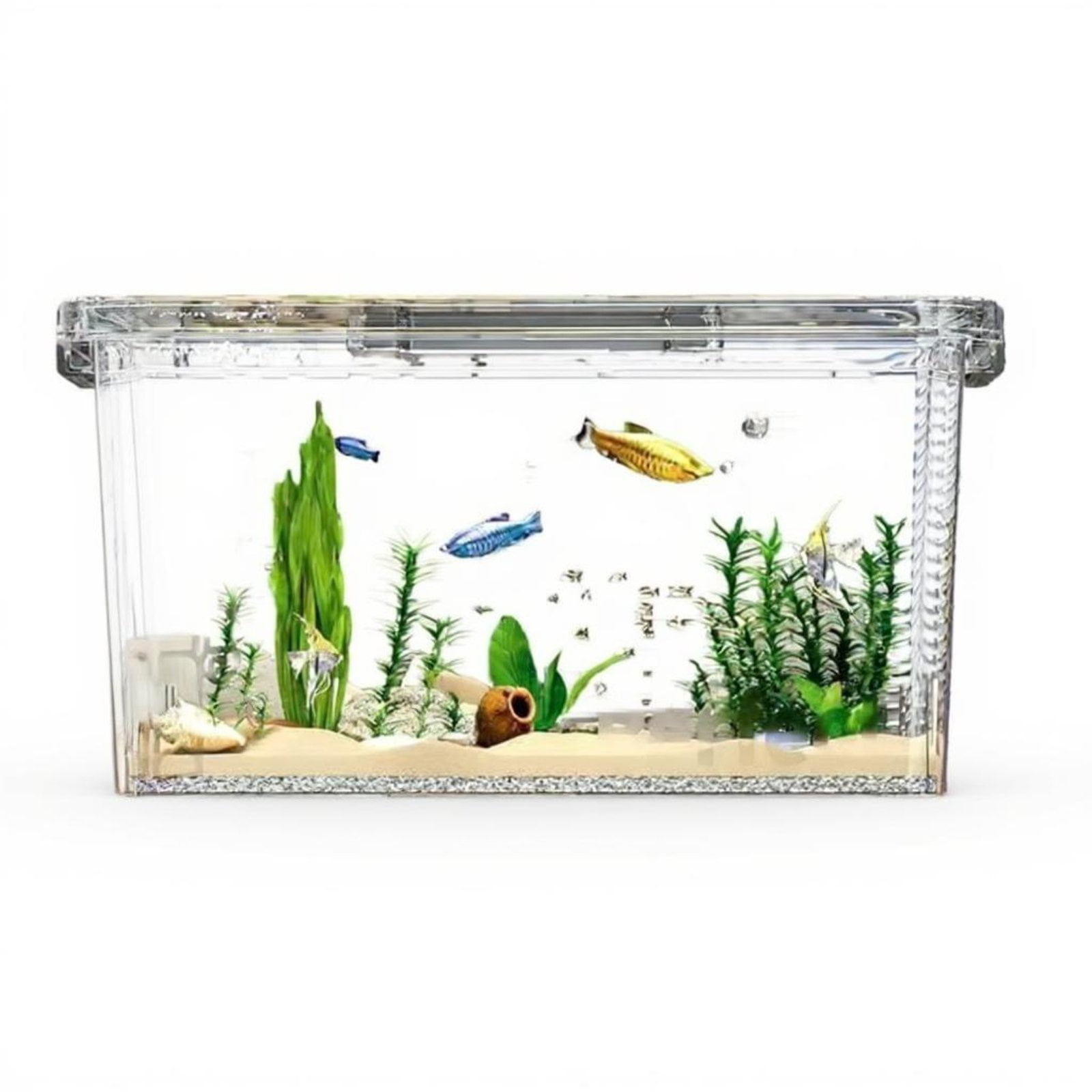 aqua box fish tank instructions Penn-Plax AN2 Nursery and Hatchery Breeding for Your Aquarium This all C. amboinensis vivarium