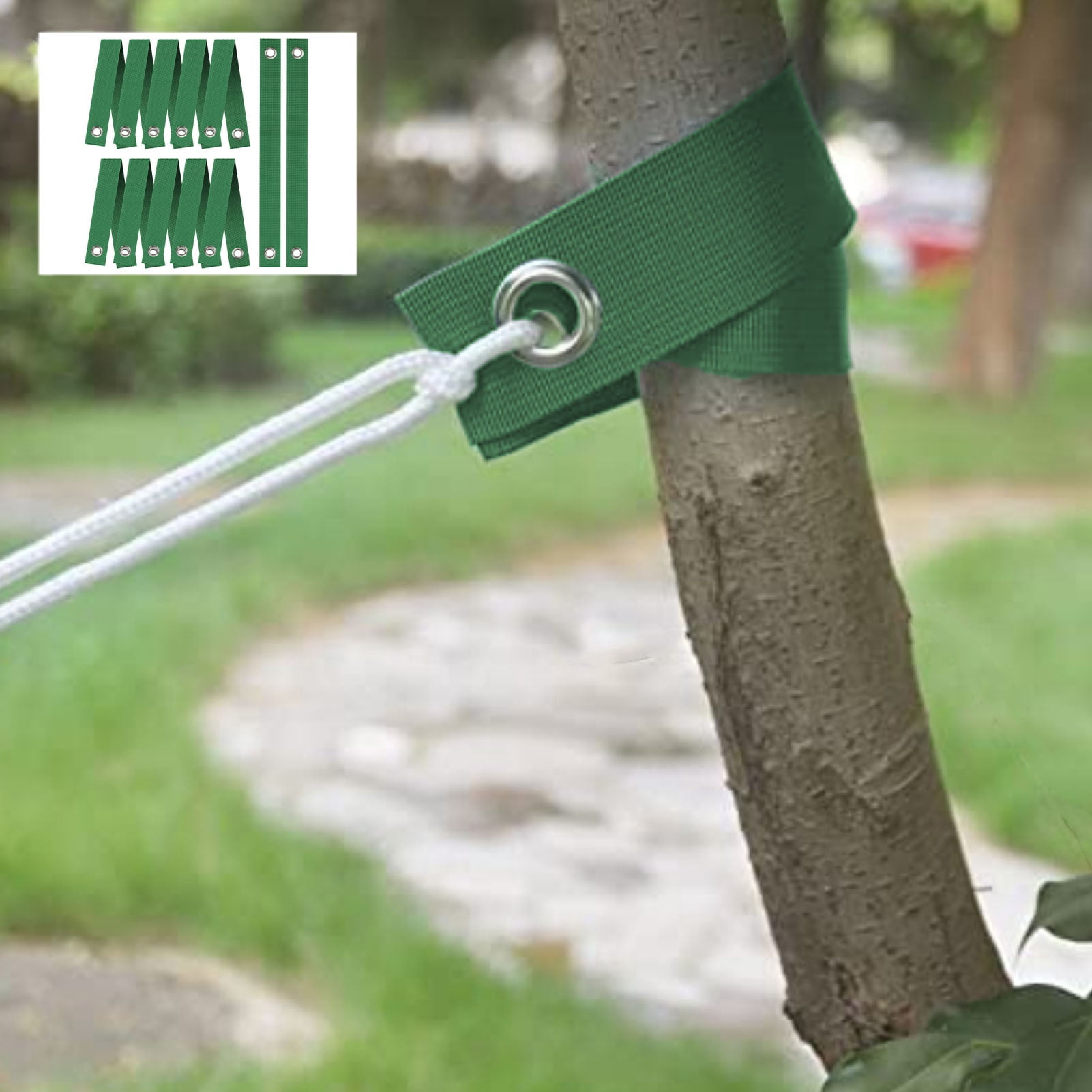 Tnobhg 3Pcs/6Pcs Tree Windproof Straps Secure Shape Trees Stable