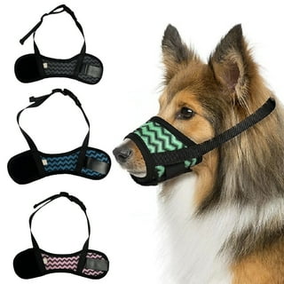 Dog mouth guard walmart store