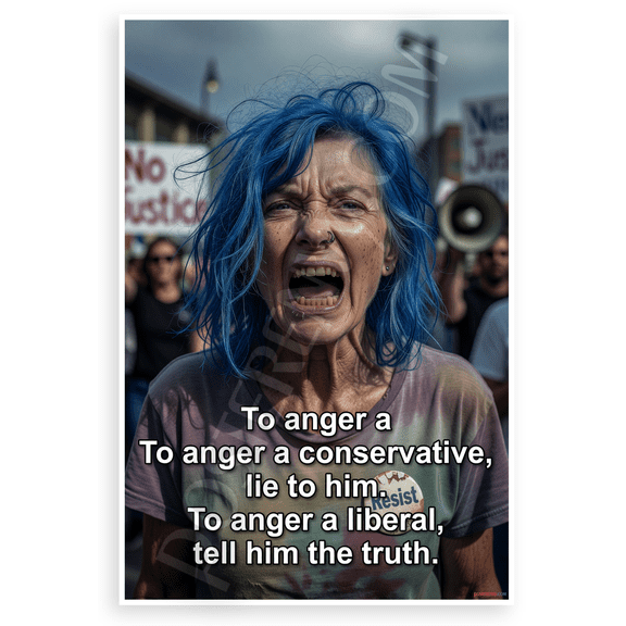 "To Anger a Conservative Lie to Him To Anger a Liberal Tell Him the Truth" Satirical Political 12x18 US Made Poster