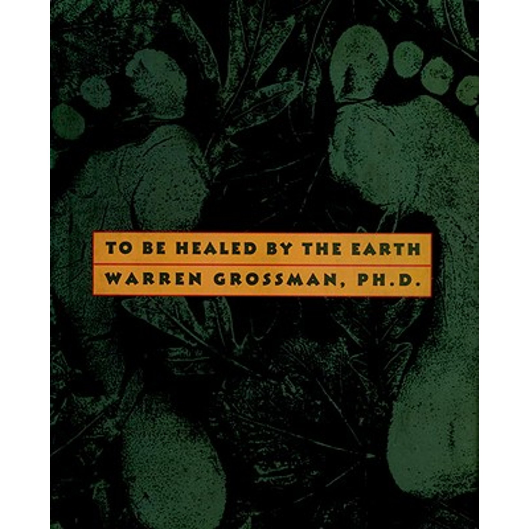 Pre-Owned To Be Healed by the Earth (Hardcover) 1583220194 ...