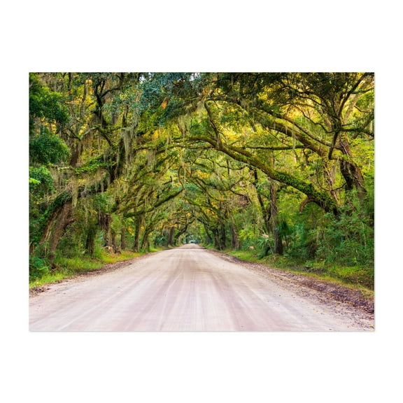 To Botany Bay - Edisto Island South Carolina Photography Unframed Wall Art Print 5 x 7 inches