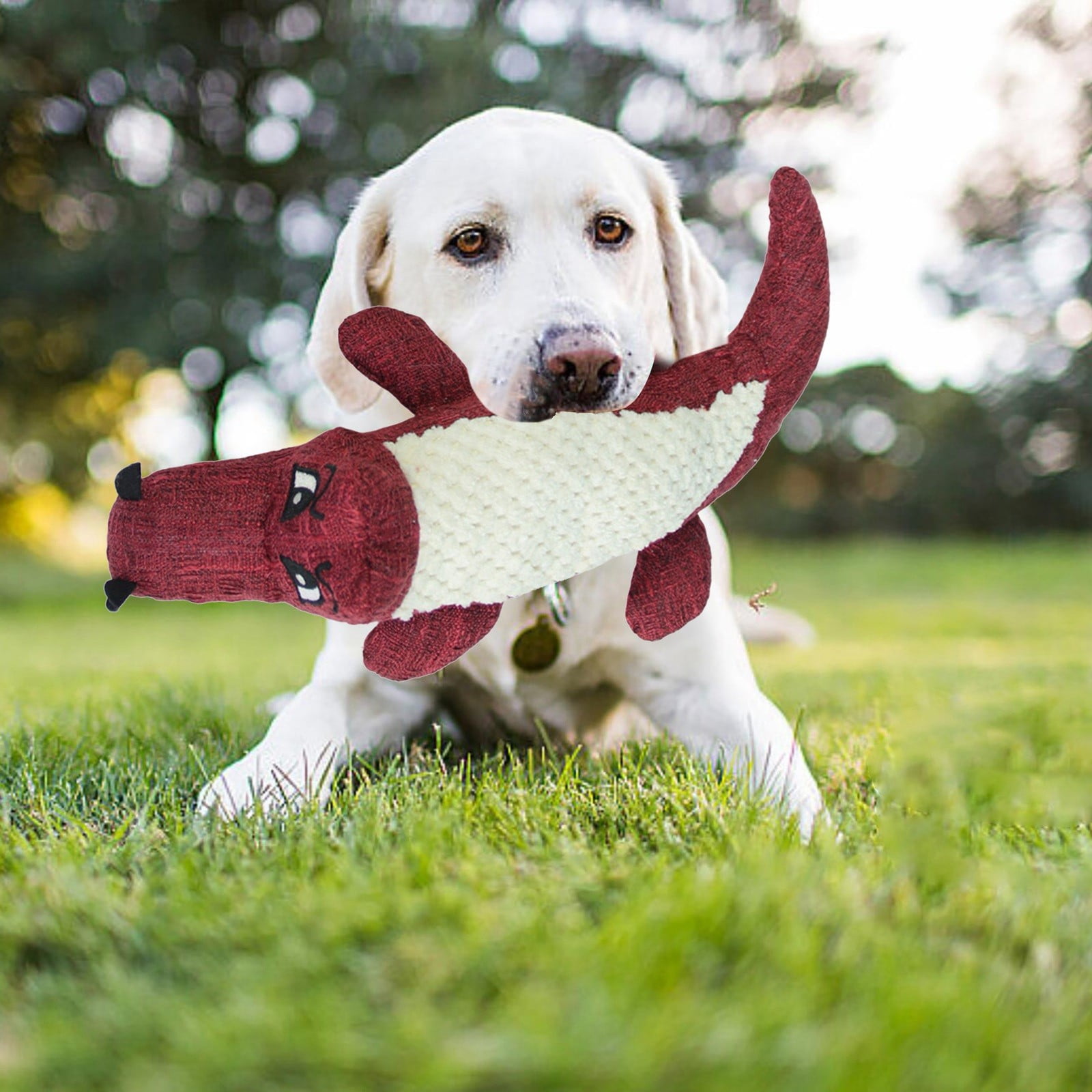 To Chewing And Grinding Teeth Pet Toys Cartoon Dolls Chewing Dog Toys