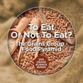 thumbnail image 1 of To Eat Or Not To Eat? The Grains Group - Food Pyramid: 2nd Grade Science Series, (Paperback), 1 of 1