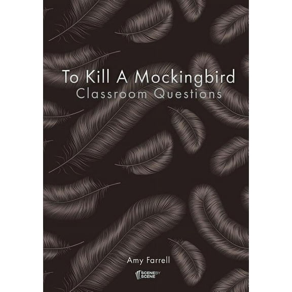 To Kill a Mockingbird Classroom Questions (Paperback)