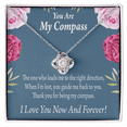 thumbnail image 1 of To My Girlfriend My Compass Infinity Knot Necklace Message Card, 1 of 17