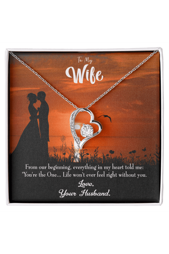 To My Wife You're the One! Forever Necklace w Message Card
