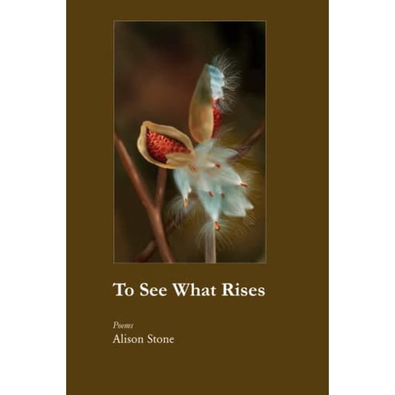Pre-Owned To See What Rises Paperback