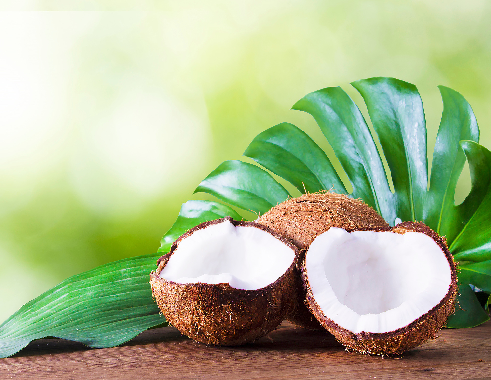 Toasted Coconut White Loose Leaf