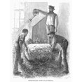 thumbnail image 1 of Tobacco Factory C1880. Nsprinkling The Flavoring Onto Tobacco At A Factory In The American South. Wood Engraving, 1 of 3