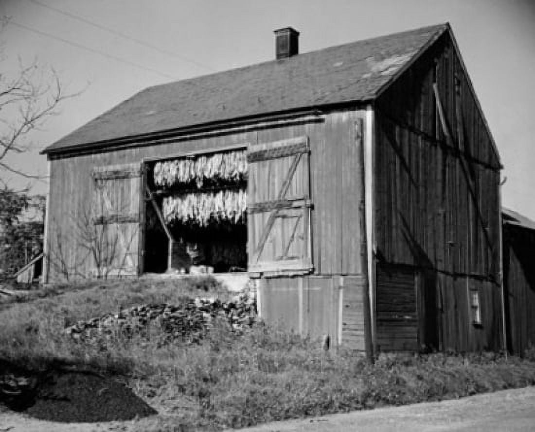 Tobacco drying in a barn Leola Pennsylvania USA Canvas Art - (18 x 24)