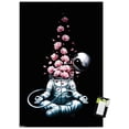 thumbnail image 1 of Tobe Fonseca - Astro Meditation Roses Wall Poster, 22.375" x 34", 1 of 5