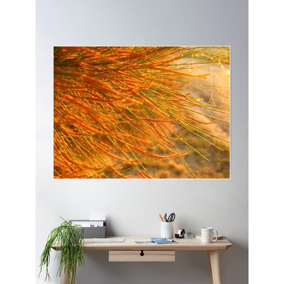 Toby'S Leaves Poster Wall Art, Modern Wall Decor For Living Room Bedroom, 16x24 UNFRAMED