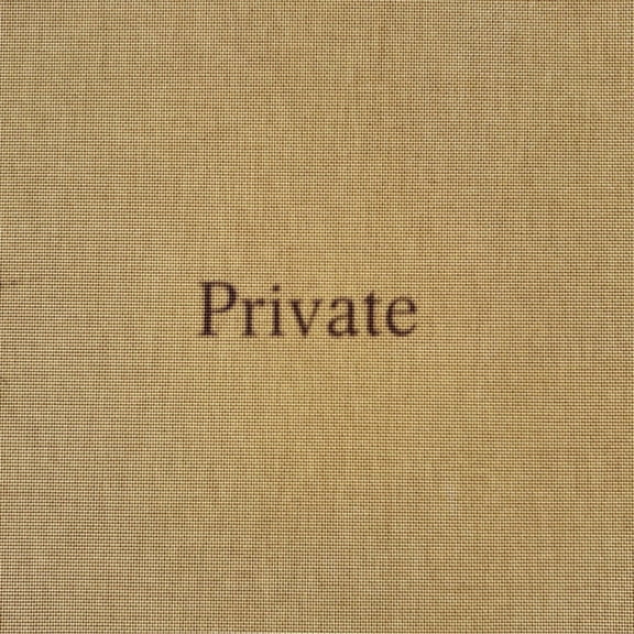 Tod Lippy: Private, (Paperback)