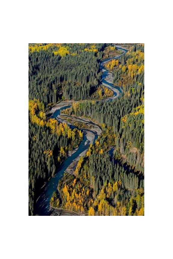 Todagin Creek River South Slope British Columbia Poster Print by Paul Colangelo - 18 x 26 in.