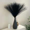 thumbnail image 1 of Todaioua Black Pampas Grass Decor - 18 Inch Short Artificial Pampas Grass Decor, Fake Pompas Floral for Vase Filler, Wedding Flower Arrangement, Party and Home Decor (Black), 1 of 6