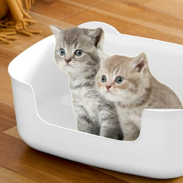 Todaioua Large Cat Litter Box with High Sides, Open Kitty Litter Boxes Anti-Splashing for Indoor Cat Low Entry Cat Litter Pan for Small and Elderly Cats, Easy to Clean, 16” x 11.4” x 5.7”