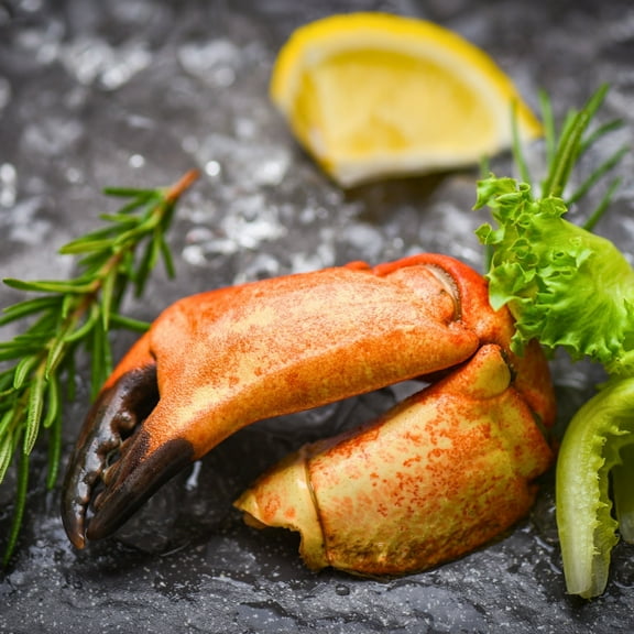 Today Gourmet Florida Stone Crab Claws - Colossal (1-2 Claws per lb.) - Fresh Never Frozen (2lbs)