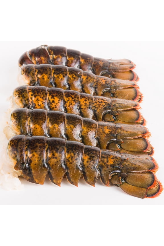Lobster Tails - 4oz.-5oz. - (10 Tails)