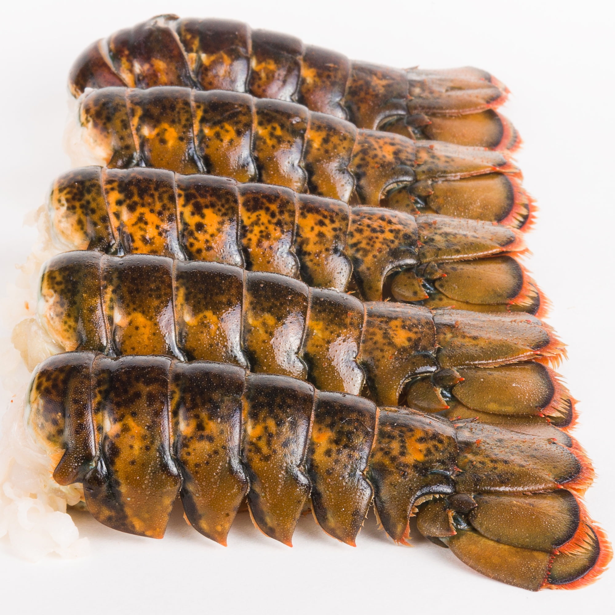 Today Gourmet Lobster Tails - 8oz.-10oz. - (2 Tails)
