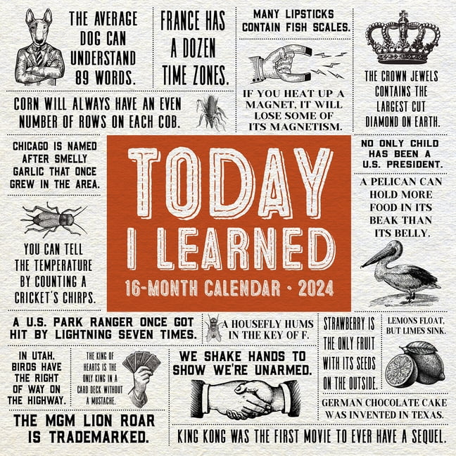 Willow Creek Press 2024 Wall Calendar, 12 X 12, Daily Facts and Trivia