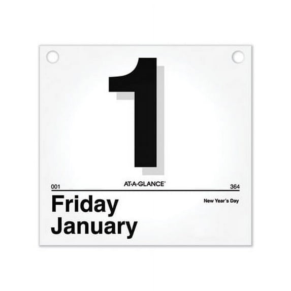 Today Is Daily Wall Calendar Refill 8.5 x 8, White, 2022