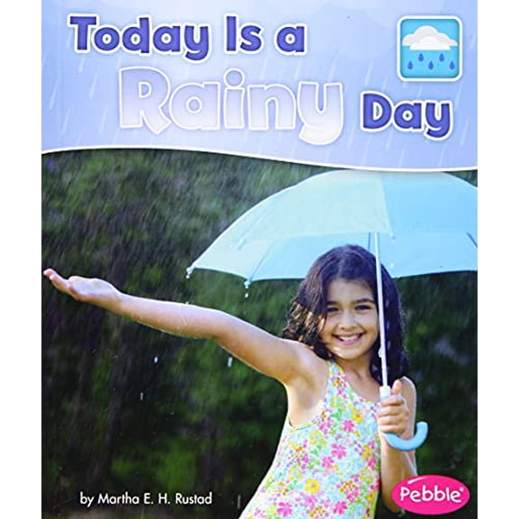 Pre-Owned Today Is a Rainy Day (What Is the Weather Today?) Paperback