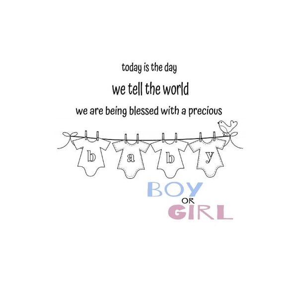 Today is the day we tell the world! Gender Reveal : Boy (Paperback)
