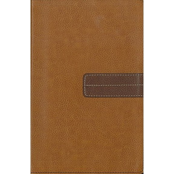Pre-Owned Todays Devotional Bible: Todays New International Version / Devotiional, Tan/brown, Italian Duo-tone (Paperback) 0310934540 9780310934547