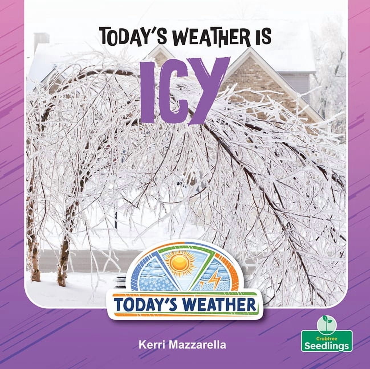 Today's Weather Today's Weather Is Icy, (Hardcover)