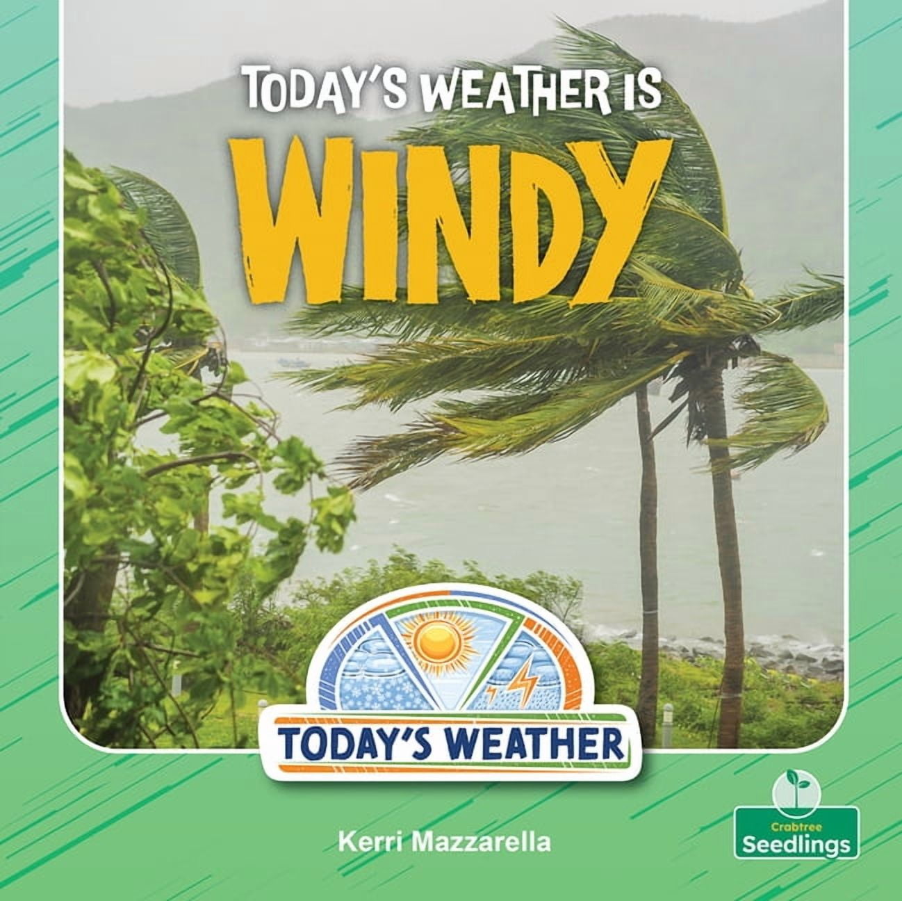 Today's Weather Today's Weather Is Windy, (Hardcover)