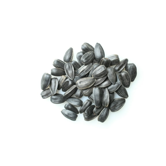 Todd's Seeds Black Oil Sunflower Sprouting Seeds, One Pound, Shell On, Microgreen Sprouts, Non-GMO, Chemical Free, Hand Packed, USA grown for sprouting