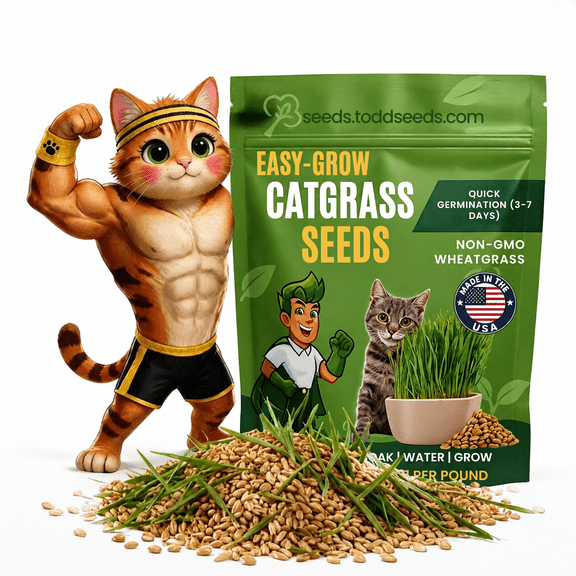 Todd's Seeds Cat Grass Seeds for Indoor Cats, 1lb Wheat Grass Seeds