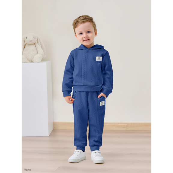 Toddler Baby Boy Clothes Sweatsuit Long Sleeve Hoodie Sweatshirt Top & Bottom Outfit Set Solid Color 1-5T