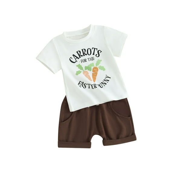 Toddler Baby Boy Easter Clothes Set 3 6 12 18 24 Months 2T 3T Bunny/Carrot Print Short Sleeve T-Shirt with Shorts 2Pcs Casual Outfit