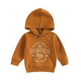 thumbnail image 1 of Toddler Baby Boy Girl Halloween Clothes Pumpukin Hoodies Sweatshirt Hooded Pullover Tops Unisex Baby Fall Winter Clothes Outfits(, 1 of 9