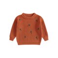 thumbnail image 1 of Toddler Baby Boy Girl Sweaters 0 3 6 9 12 18 24 Months 2T 3T Carrot Pattern Long Sleeve Round Neck Ribbed Chunky Knit Jumper Tops, 1 of 9