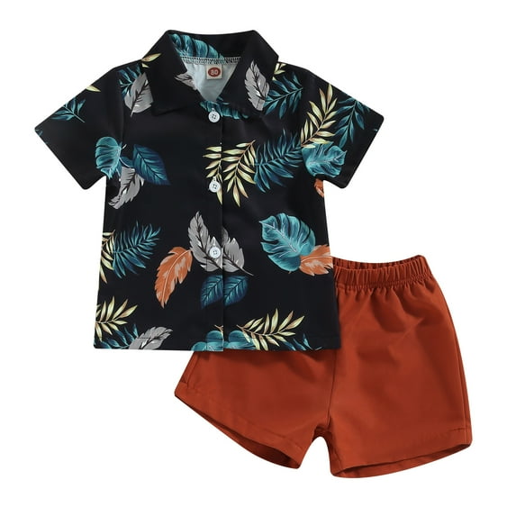Toddler Baby Boy Hawaiian Outfit 6M 12M 18M 24M 3Y 4Y Short Sets Short Sleeve Button Down Shirt Elastic Waist Shorts Clothes