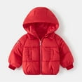 thumbnail image 1 of Toddler Baby Boys Girls Winter Coat,Toddler Puffer Coat Baby Hoodie with Zipper Windproof Jacket Outwear For Infant Baby Girls Puffer Jacket Kids Winter Clothes 2-3 Years, 1 of 2