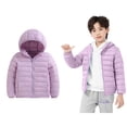 thumbnail image 1 of Toddler Baby Boys Girls Winter Coat,Toddler Puffer Coat Hooded Jackets with Pockets Thicken Windproof Zipper Warm Outwear for Baby Girls Toddler Winter Jacket Baby Winter Clothes, 1 of 6
