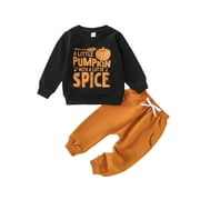 LOLIUICCA Toddler Baby Boys Halloween Pumpkin Print Long Sleeve Pullover Sweatshirt and Pants 2 Pcs Set Clothes for Fall