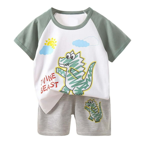 Toddler Baby Boys Pajamas Dinosaur T Shirts Tops Shorts Summer Pjs Sleepwear Cotton Kids Short Sets Clothes,X4-Light Gray,80(6-12 Months)