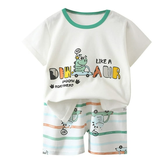 Toddler Baby Boys Pajamas Dinosaur T Shirts Tops Shorts Summer Pjs Sleepwear Cotton Kids Short Sets Clothes,X4-White,120(4-5 Years)