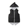thumbnail image 1 of Toddler Baby Dinosaur Jacket Coat Kids Sleeveless Vest Zip Hooded Tops Outerwear Hoodies Waistcoat, 1 of 6